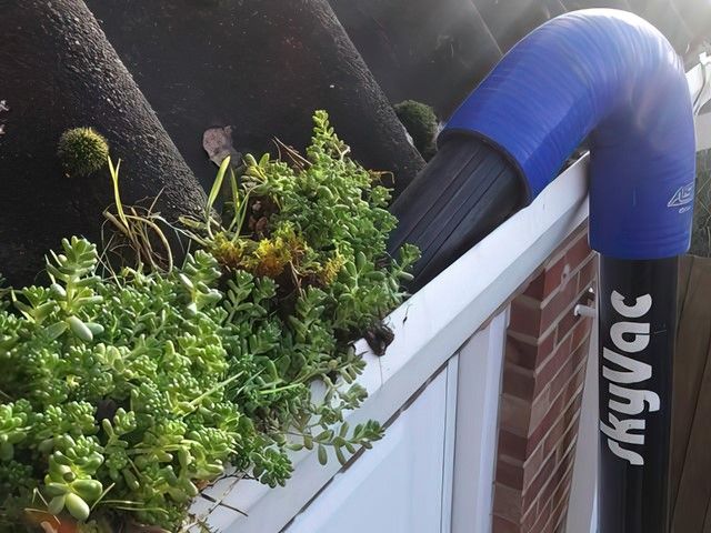 images/gutter-cleaners/slider/gutter-cleaning-1-kireth-ai.jpg
