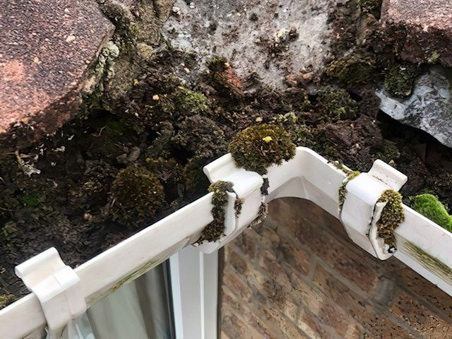 gutter-cleaning-5-kireth-ai