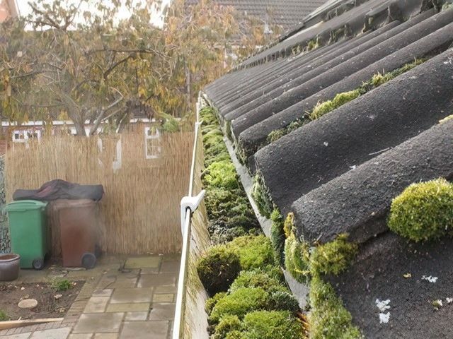 images/gutter-cleaners/slider/gutter-cleaning-3-kireth-ai.jpg